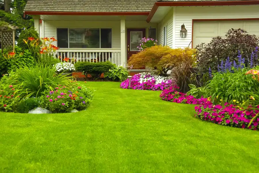 Landscape Maintenance